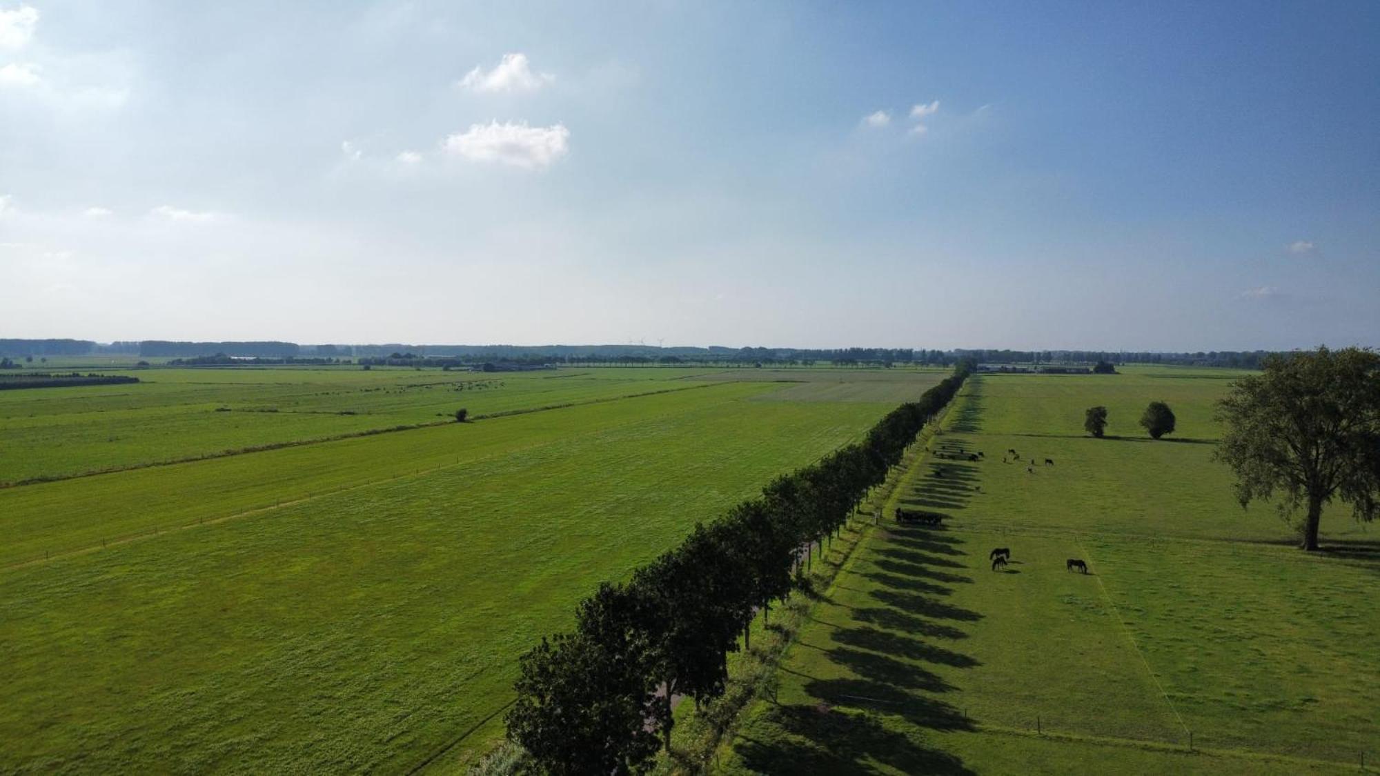 Landelijke Huis In De Betuwe Tricht Kültér fotó